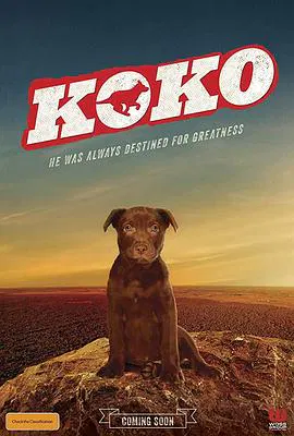 【喜剧片】Koko：红犬历险记