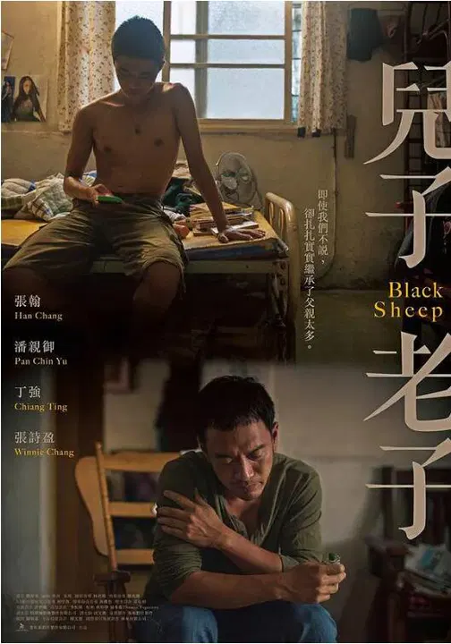 【剧情片】儿子老子