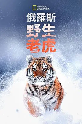 【记录片】俄罗斯野生老虎