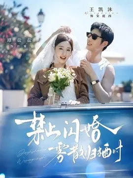 【短剧】禁止闪婚，雾散归栖时